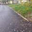 20181002_095344 - Администрация г. Арсеньев