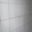 Подготовка к новому тренировочному сезону - Администрация г. Арсеньев