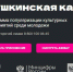 Что нужно знать о «Пушкинской карте» - Администрация г. Арсеньев