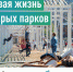 Арсеньевцам предлагают выбрать объекты благоустройства - Администрация г. Арсеньев