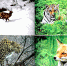 <b>Navigation tip:</b> Hover mouse on top of the right or left side of the image to see the next or previous image respectively.<br /><br />You are browsing images from the article:<br /><span class="sigProPopupCaption">«Приморье как целый мир»</span><br /><a class="sigProDownloadLink" href="/plugins/content/jw_sigpro/jw_sigpro/includes/download.php?file=images/09042024/1.png" download>Download this image</a> - ЦБС им. В.К. Арсеньева