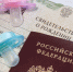 Два Семейных многофункциональных центра откроются в Приморье - Администрация г. Арсеньев