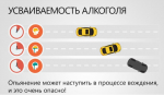 МО МВД России "Арсеньевский" напоминает о недопустимости употребления алкоголя за рулем