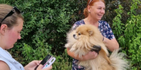 Арсеньевцы активно чипируют домашних питомцев - PrimGorod.Ru